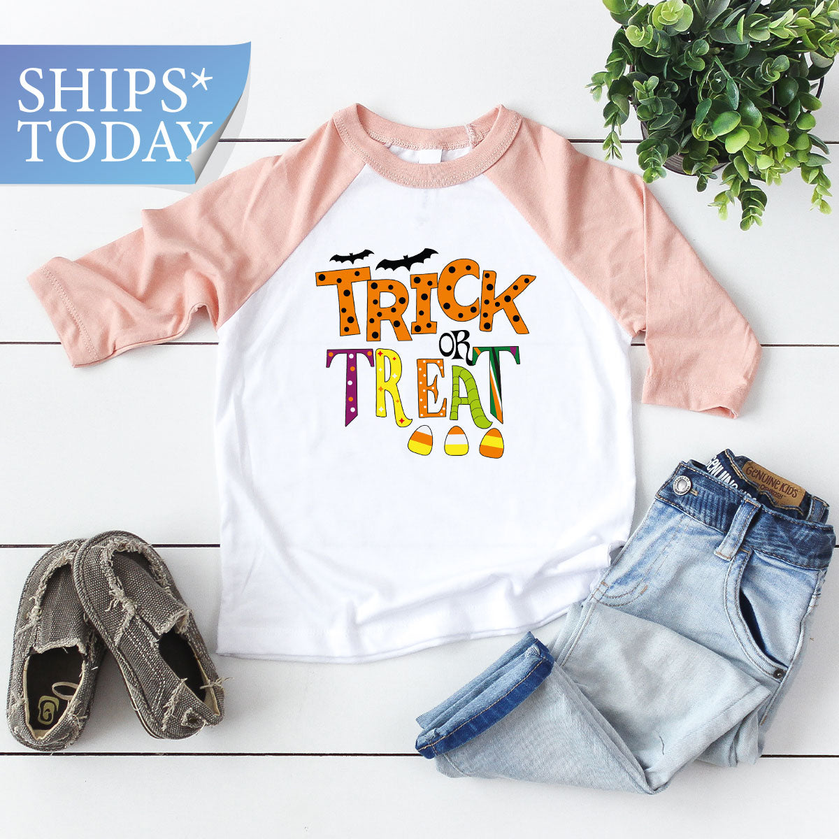 Spooky Season Shirts, Halloween Party Clothing, Spooky Halloween Gifts, Unisex Halloween Bat Shirt, Crewneck Kids Halloween Shirts